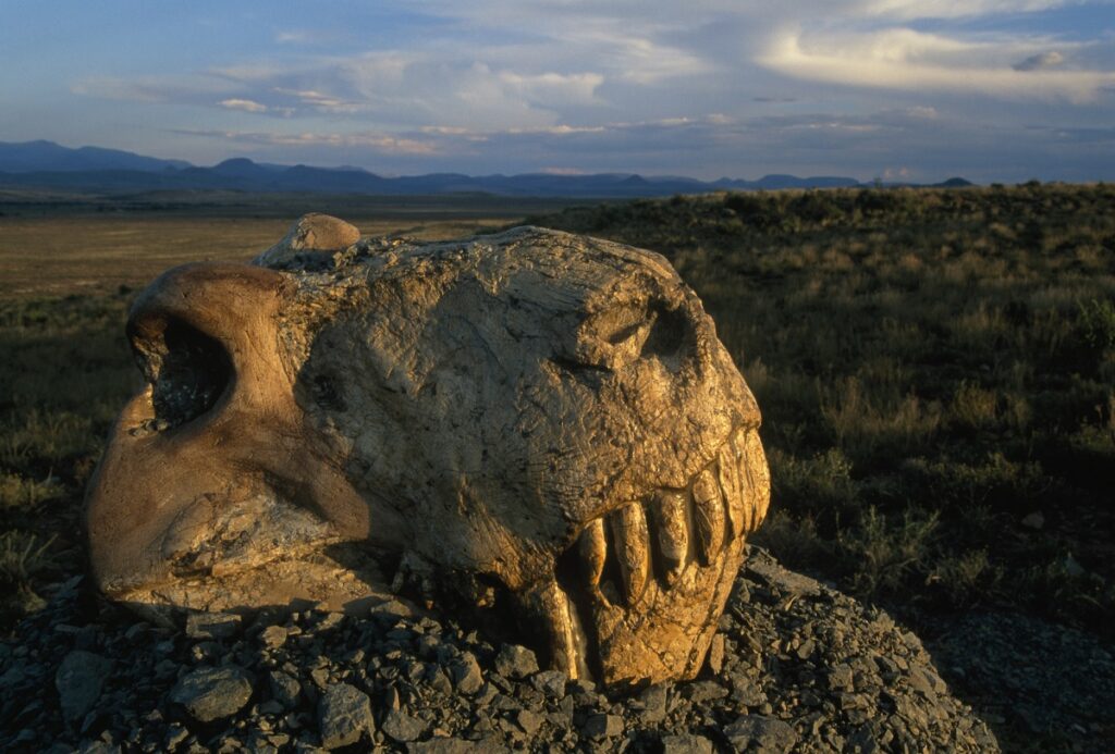 The Great Dying, How the Permian Mass Extinction Nearly Ended Life on Earth Fossil skull embedded in rocks on a dry open plain, with distant mountains at dusk.